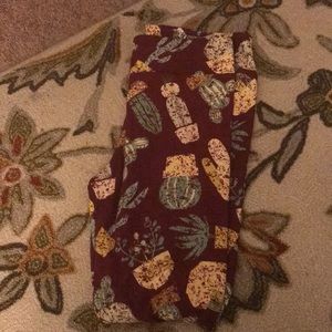 Lularoe Tall and curvy leggings brand new